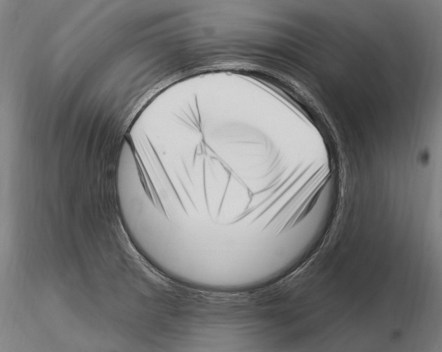X0000115221281200912091212