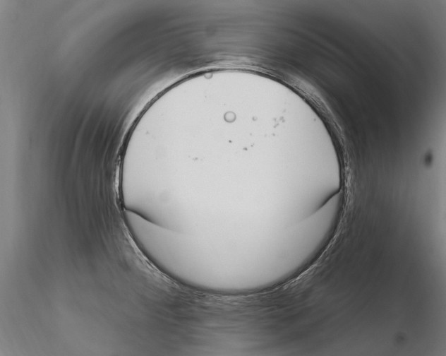 X0000115221284200912091212
