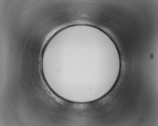 X0000115221286200912091212