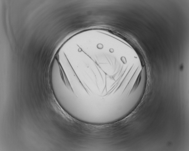 X0000115221292200912091212