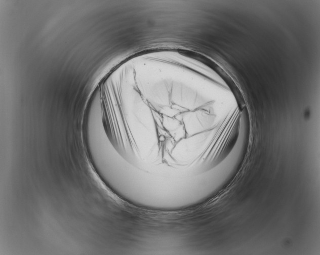 X0000115221293200912091212