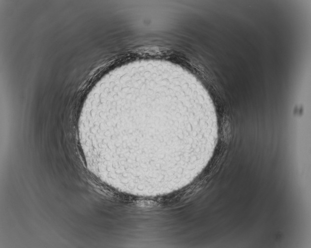 X0000115221297200912091211