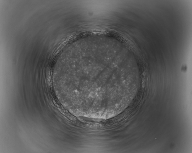 X0000115221298200912091211