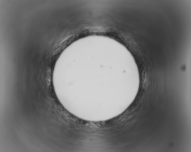 X0000115221301200912091212