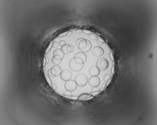 X0000115221302200912091212