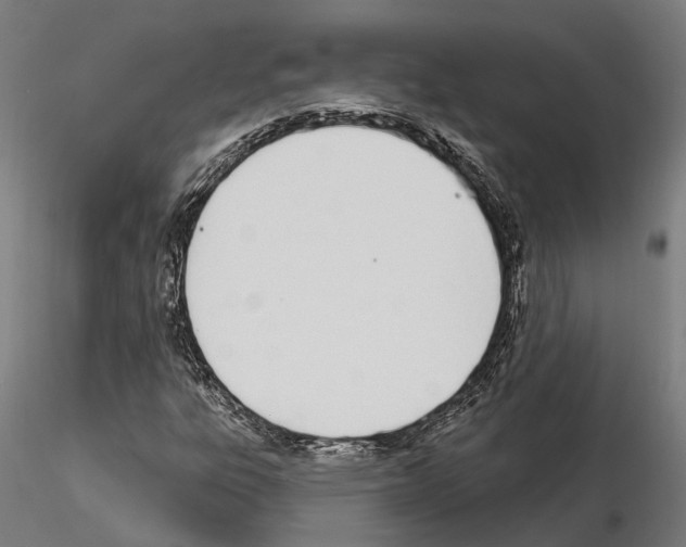 X0000115221303200912091212