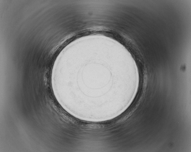 X0000115221305200912091212