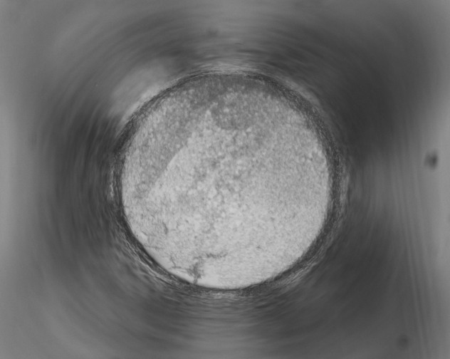 X0000115221306200912091212