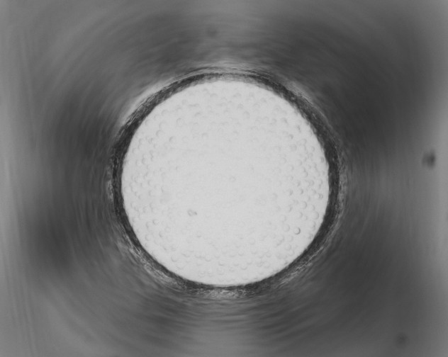 X0000115221307200912091212