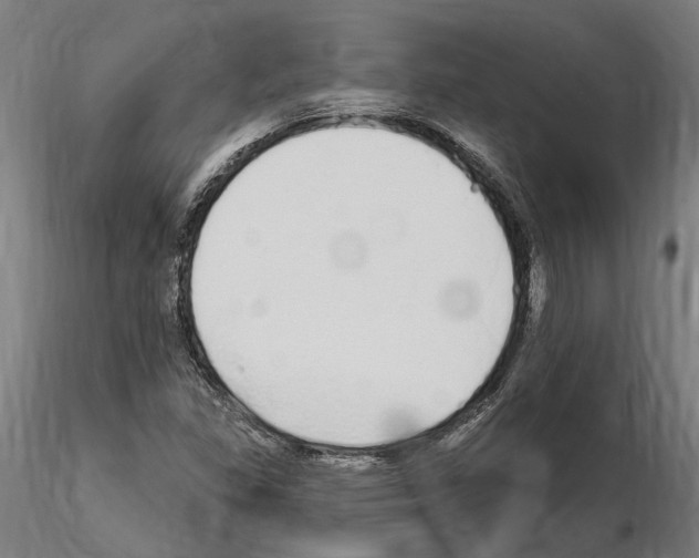 X0000115221309200912091212