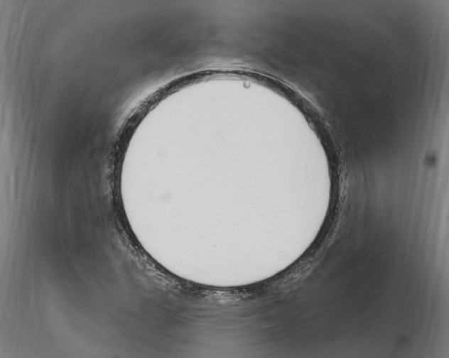 X0000115221311200912091212