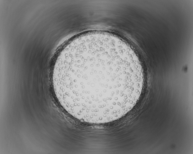 X0000115221315200912091212