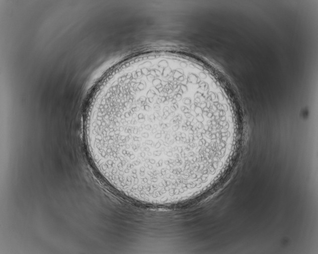 X0000115221317200912091212