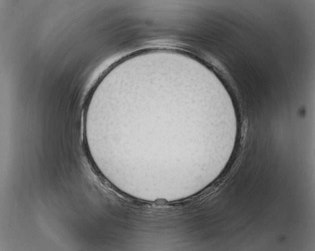 X0000115221323200912091212