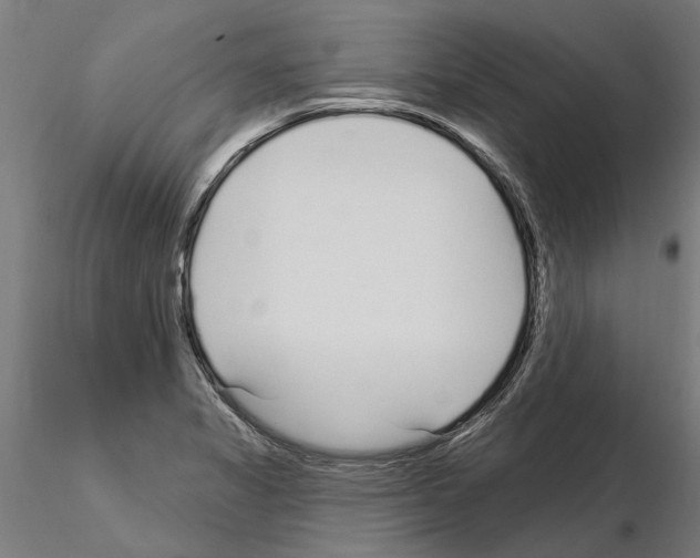 X0000115221325200912091212