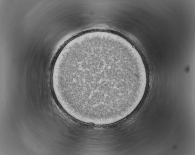 X0000115221326200912091212