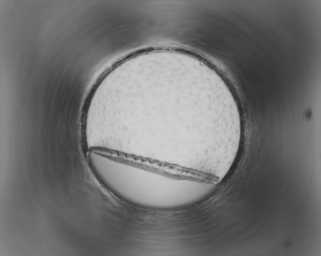 X0000115221327200912091212