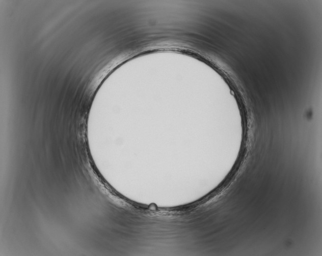 X0000115221329200912091212