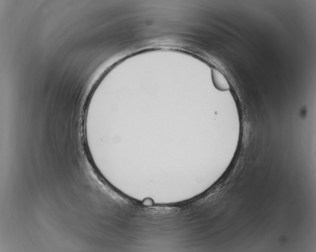 X0000115221331200912091212