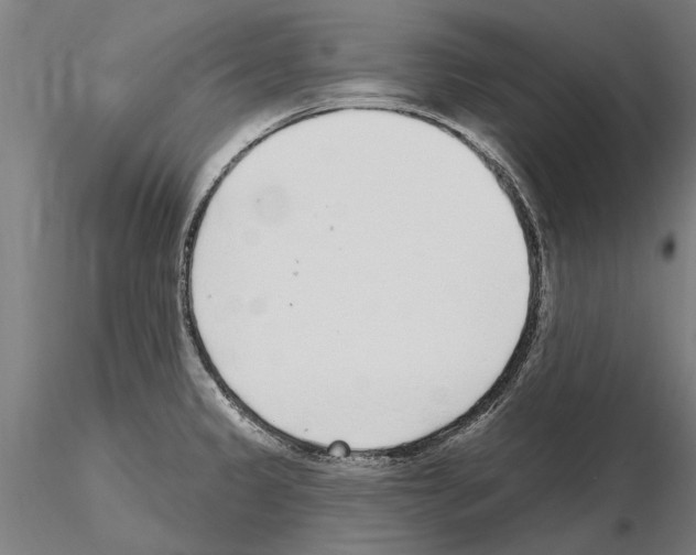 X0000115221333200912091212