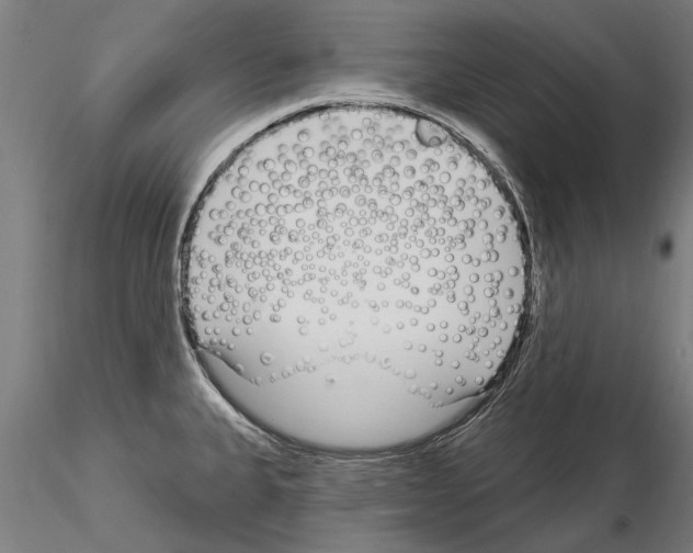 X0000115221335200912091212