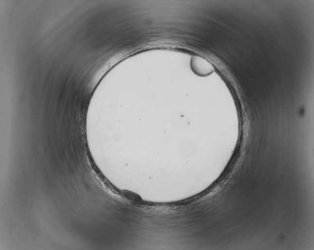 X0000115221337200912091212