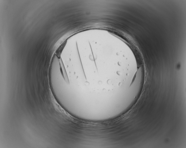 X0000115221338200912091212