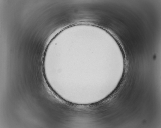 X0000115221341200912091212