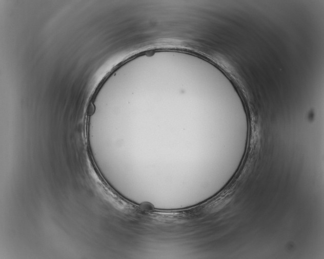 X0000115221342200912091212