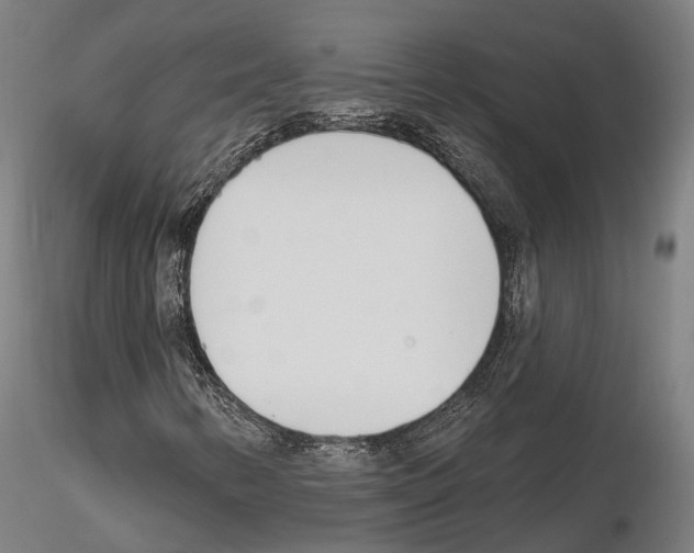 X0000115221346200912091211