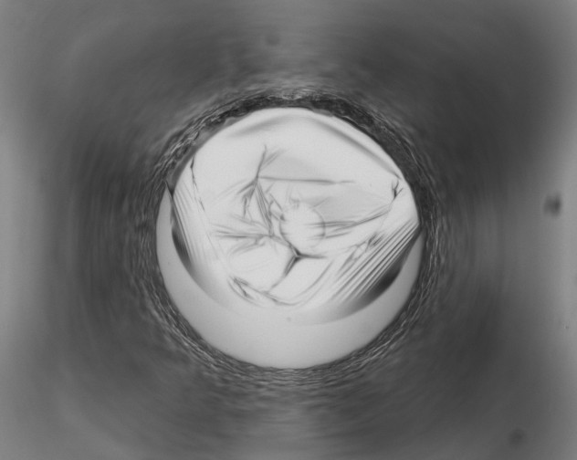 X0000115221349200912091211