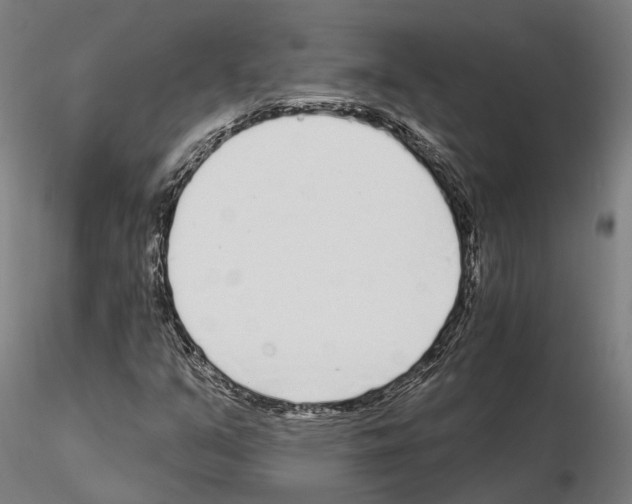 X0000115221351200912091211