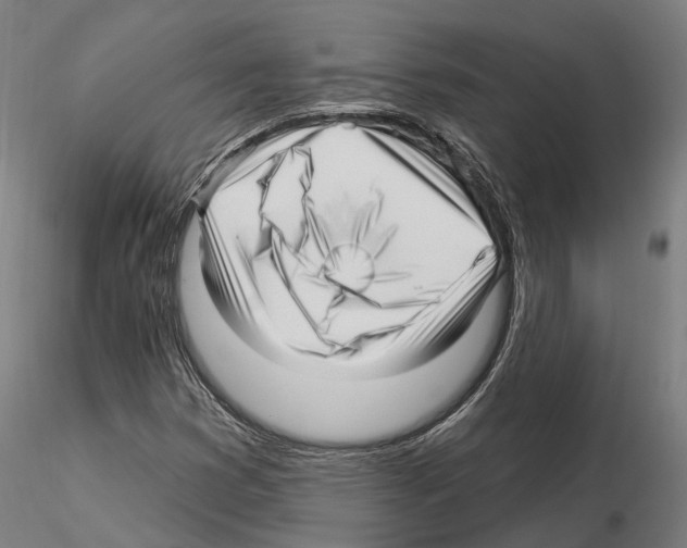 X0000115221353200912091211