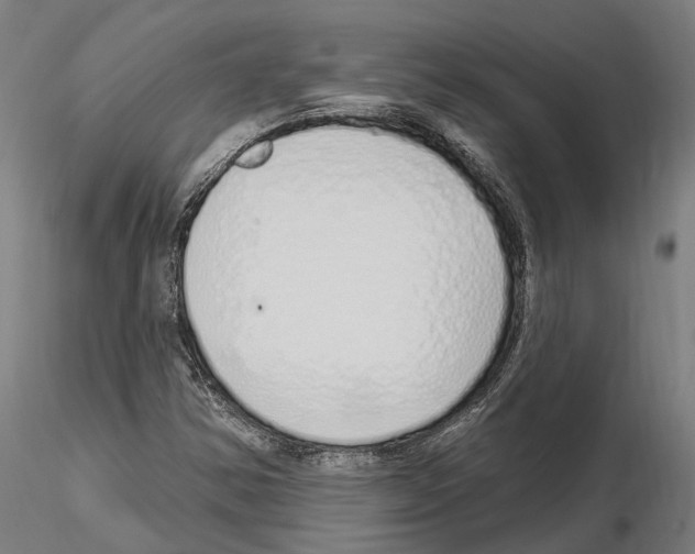 X0000115221354200912091211