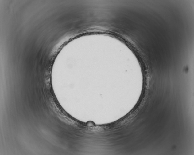 X0000115221355200912091211
