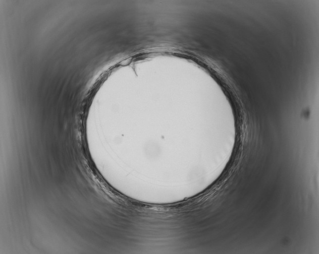 X0000115221356200912091211