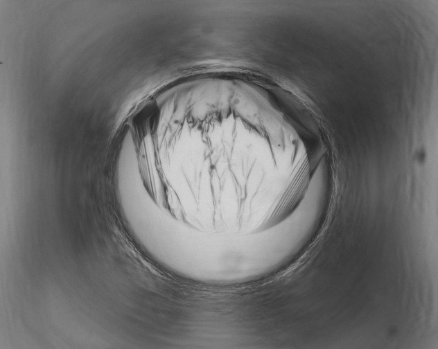 X0000115221357200912091211