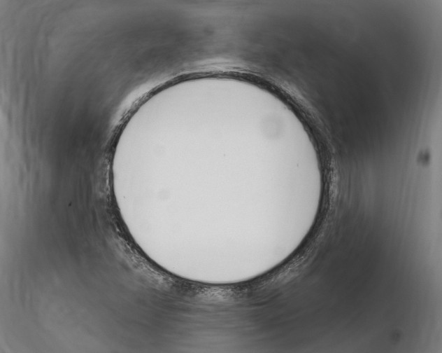 X0000115221358200912091211