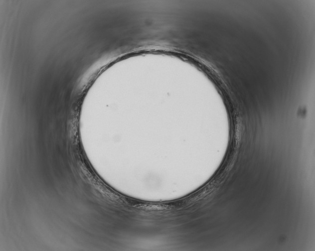 X0000115221359200912091211