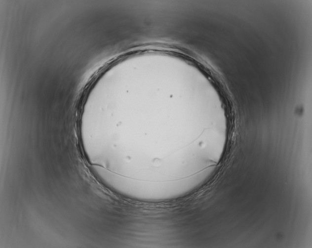X0000115221360200912091211