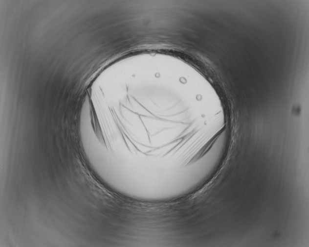 X0000115221361200912091211
