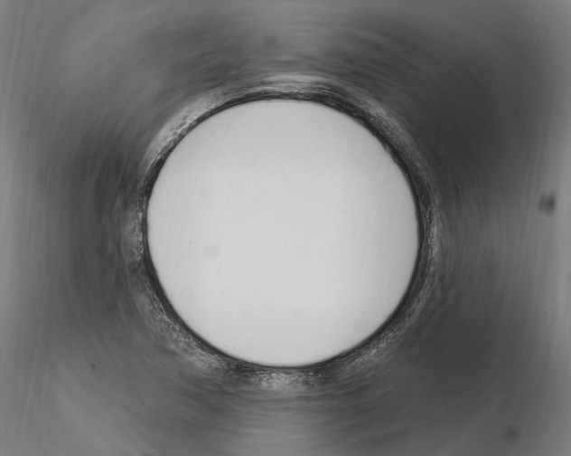 X0000115221362200912091211