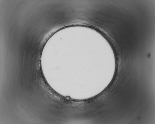 X0000115221363200912091211