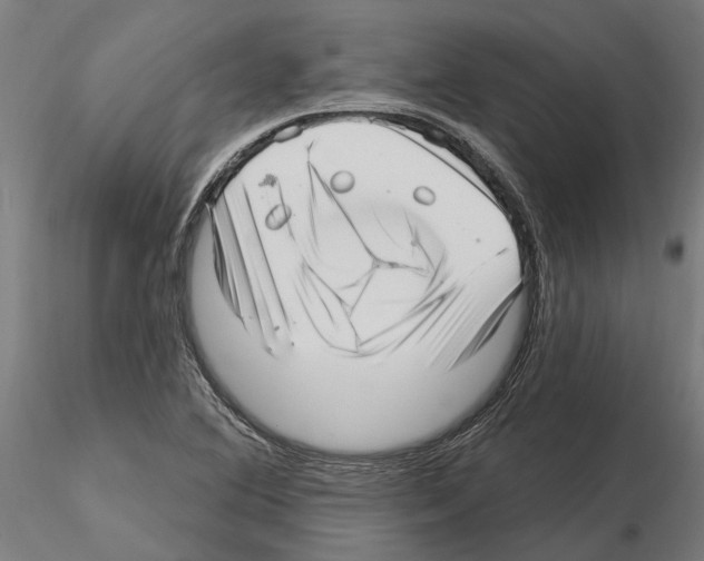 X0000115221364200912091211