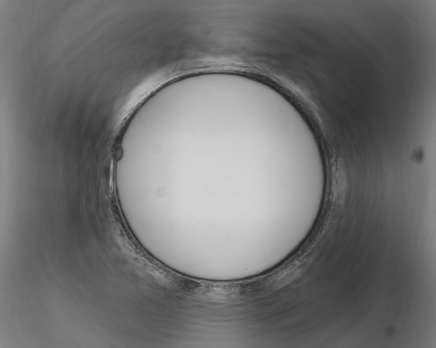 X0000115221365200912091211