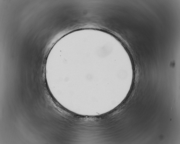 X0000115221367200912091211