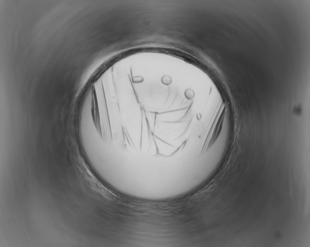 X0000115221368200912091211