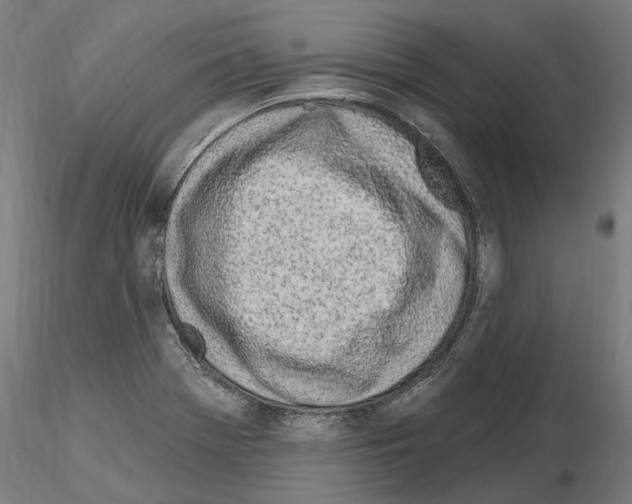 X0000115221369200912091211