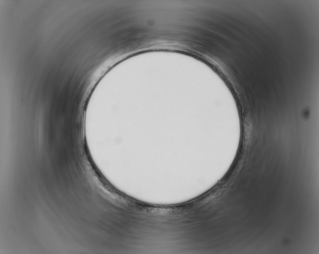 X0000115221371200912091211