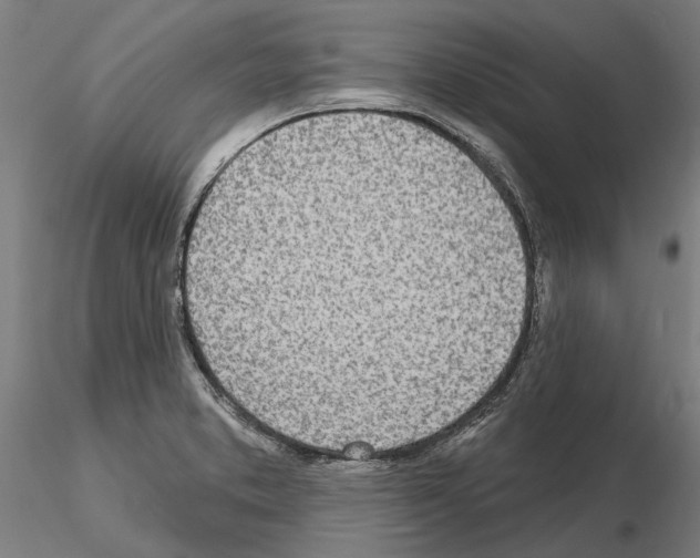 X0000115221373200912091211
